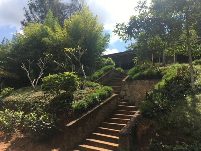 Milemeleni Guesthouse Lushoto Exterior photo